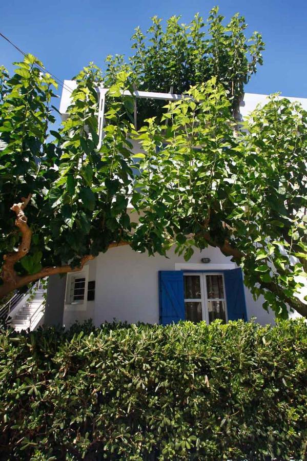 Studios Vasilis Agia Marina  Exterior photo
